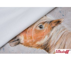 Bio Summersweat Lillestoff - Winterpony Panel